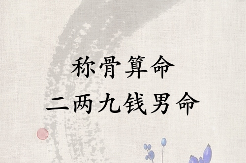 称骨算命二两九钱男命详解